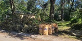 Hurricane Ian Relief | Tropical Storm Nicole Information